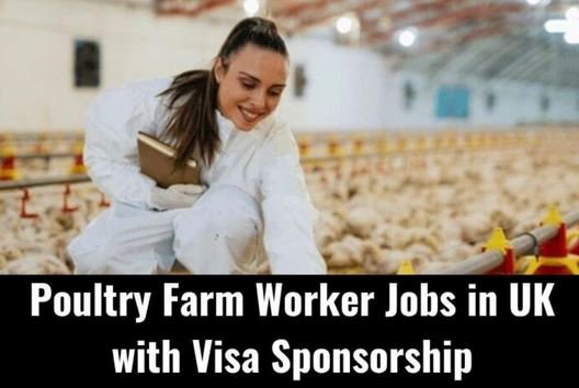 Poultry Farm Worker Jobs in UK